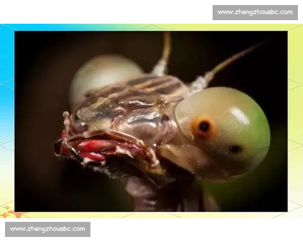 终点线前的 “螳螂”：跑者的失控与释放